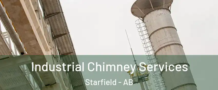  Industrial Chimney Services Starfield - AB