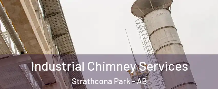  Industrial Chimney Services Strathcona Park - AB
