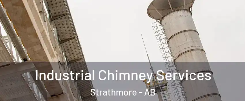  Industrial Chimney Services Strathmore - AB