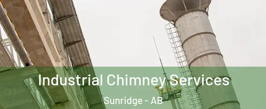  Industrial Chimney Services Sunridge - AB