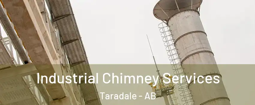  Industrial Chimney Services Taradale - AB
