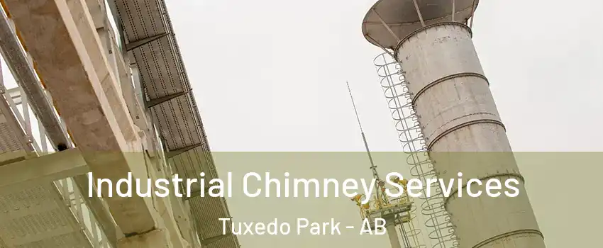  Industrial Chimney Services Tuxedo Park - AB