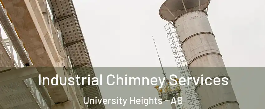  Industrial Chimney Services University Heights - AB