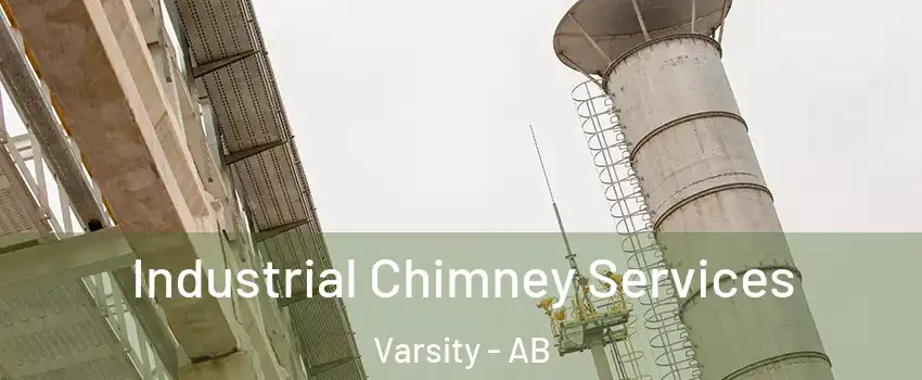  Industrial Chimney Services Varsity - AB