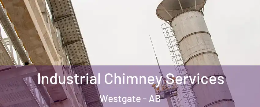  Industrial Chimney Services Westgate - AB