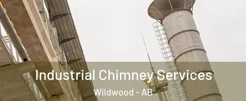  Industrial Chimney Services Wildwood - AB