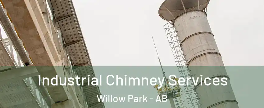  Industrial Chimney Services Willow Park - AB