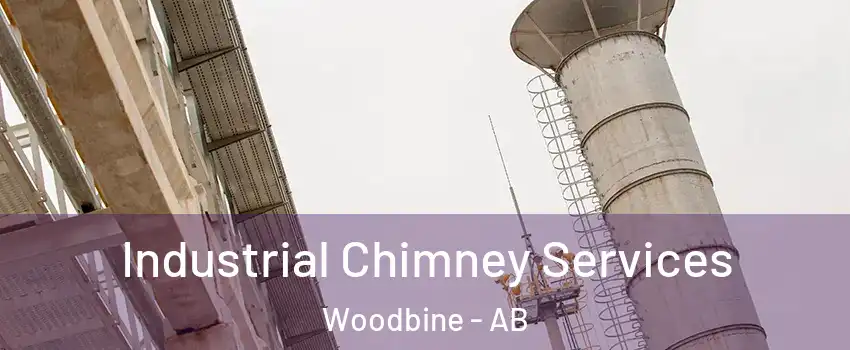  Industrial Chimney Services Woodbine - AB