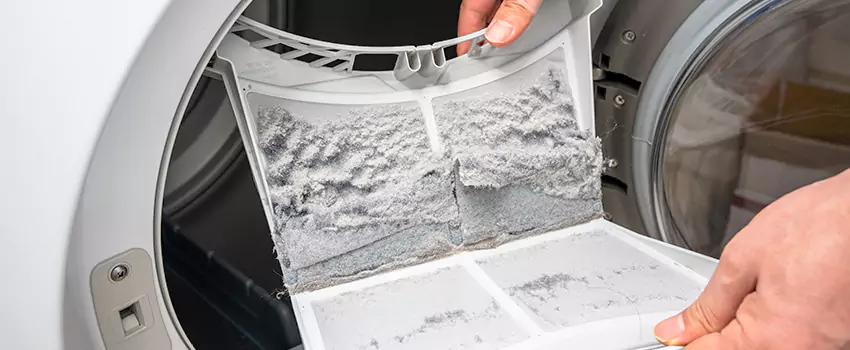Best Dryer Lint Removal Company in Calgary, Alberta