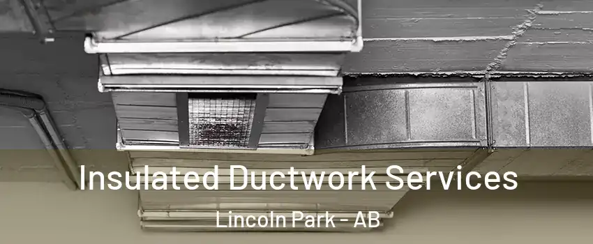  Insulated Ductwork Services Lincoln Park - AB