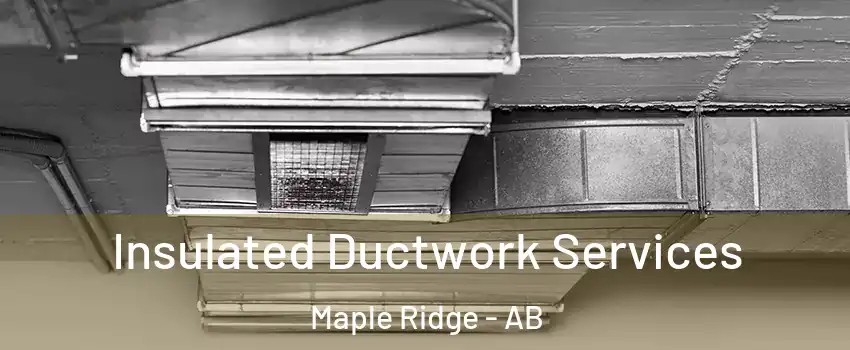  Insulated Ductwork Services Maple Ridge - AB