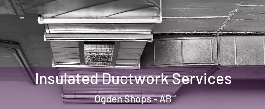  Insulated Ductwork Services Ogden Shops - AB