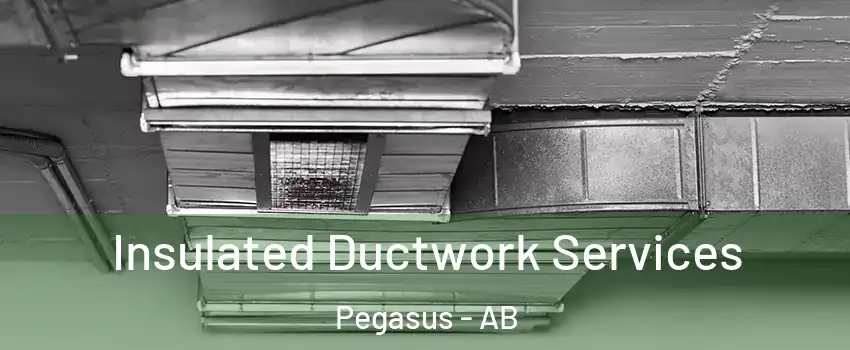  Insulated Ductwork Services Pegasus - AB