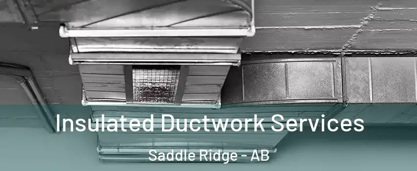  Insulated Ductwork Services Saddle Ridge - AB