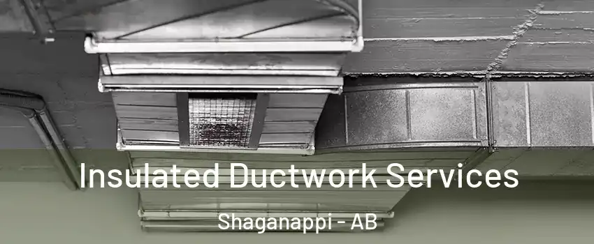  Insulated Ductwork Services Shaganappi - AB