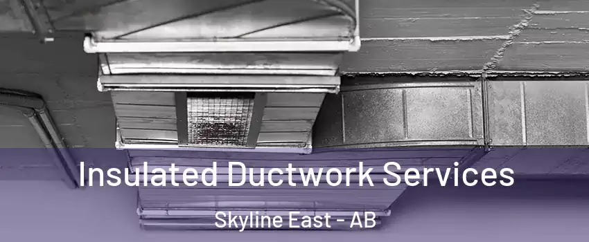  Insulated Ductwork Services Skyline East - AB