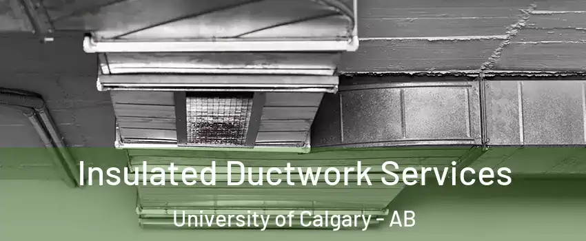 Insulated Ductwork Services University of Calgary - AB