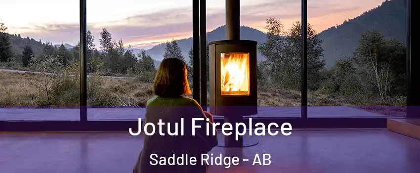  Jotul Fireplace Saddle Ridge - AB
