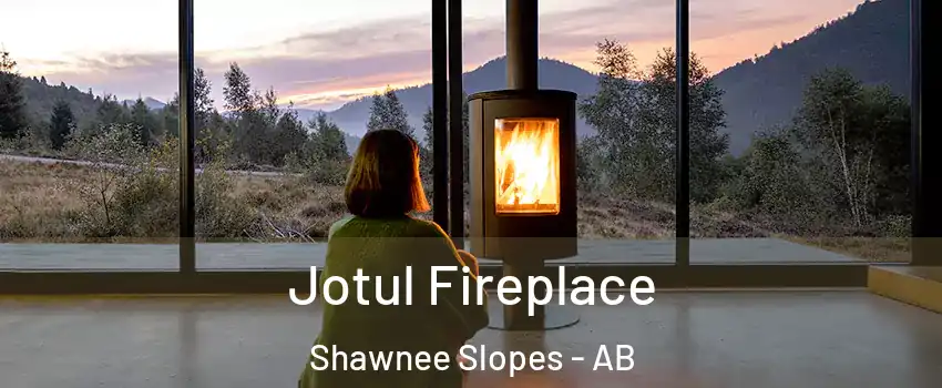  Jotul Fireplace Shawnee Slopes - AB