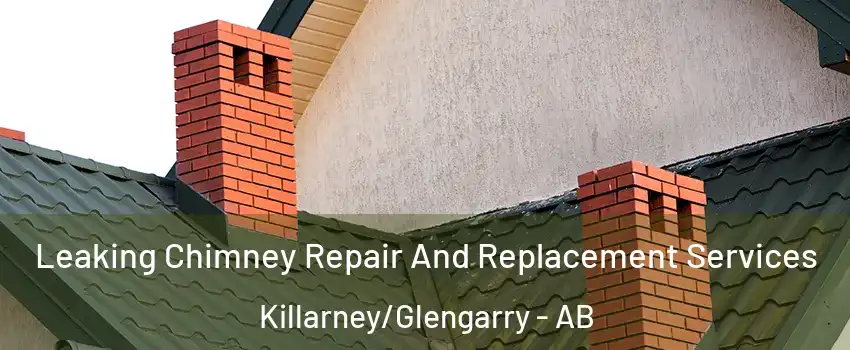  Leaking Chimney Repair And Replacement Services Killarney/Glengarry - AB