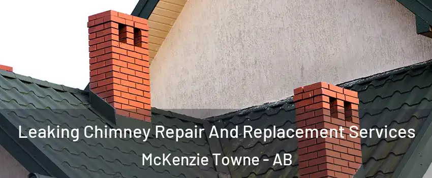  Leaking Chimney Repair And Replacement Services McKenzie Towne - AB