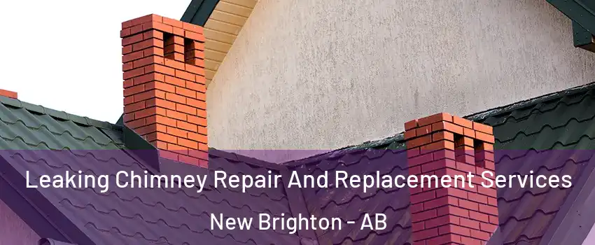  Leaking Chimney Repair And Replacement Services New Brighton - AB