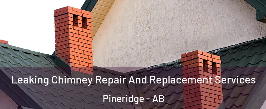  Leaking Chimney Repair And Replacement Services Pineridge - AB