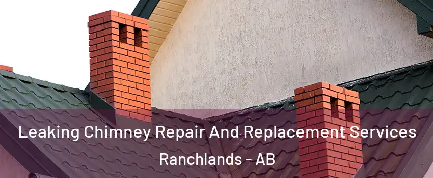  Leaking Chimney Repair And Replacement Services Ranchlands - AB