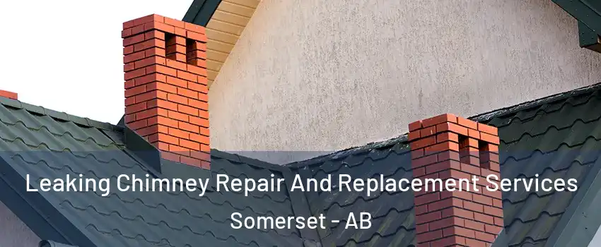  Leaking Chimney Repair And Replacement Services Somerset - AB