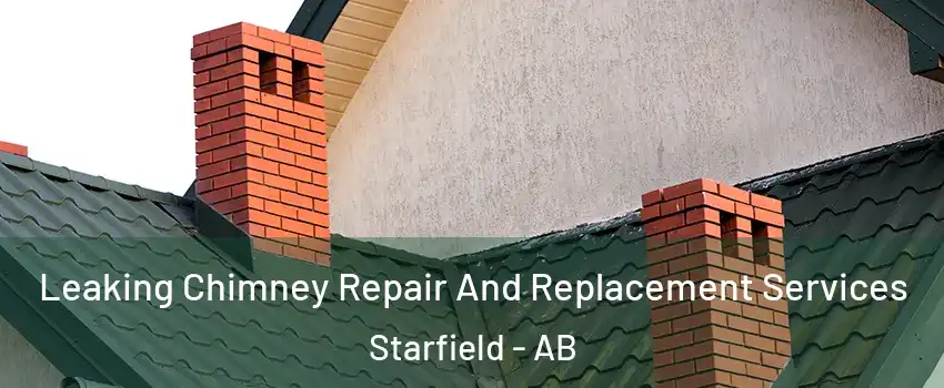  Leaking Chimney Repair And Replacement Services Starfield - AB