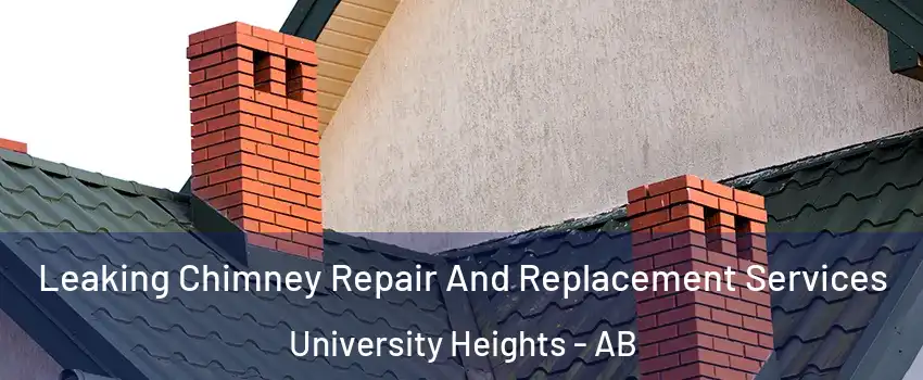  Leaking Chimney Repair And Replacement Services University Heights - AB