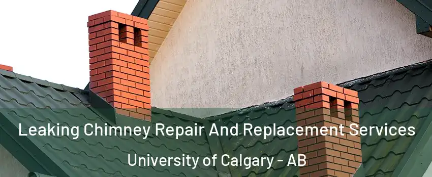  Leaking Chimney Repair And Replacement Services University of Calgary - AB