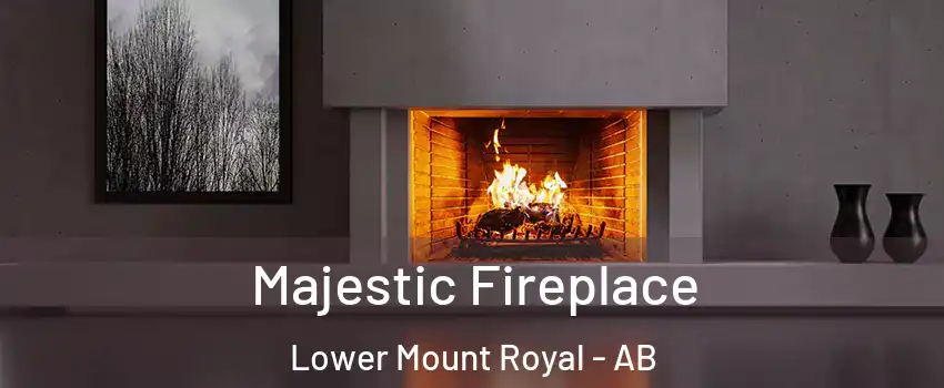  Majestic Fireplace Lower Mount Royal - AB