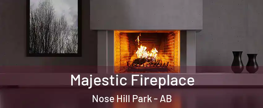  Majestic Fireplace Nose Hill Park - AB