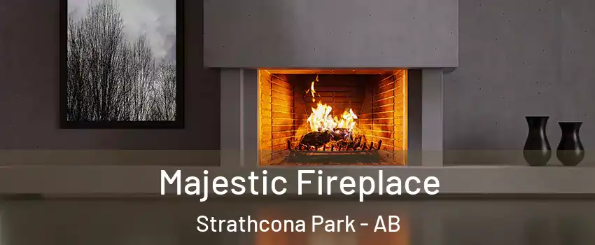  Majestic Fireplace Strathcona Park - AB