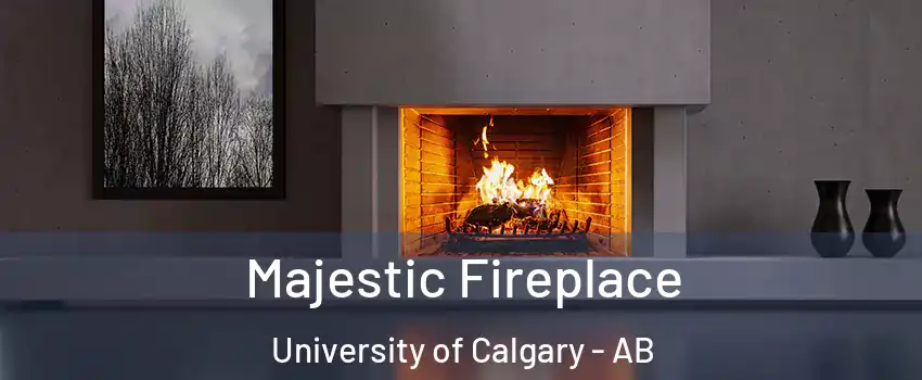  Majestic Fireplace University of Calgary - AB