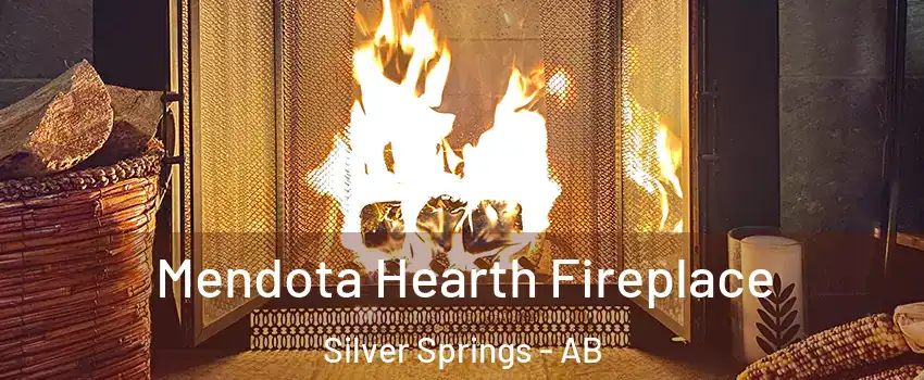  Mendota Hearth Fireplace Silver Springs - AB