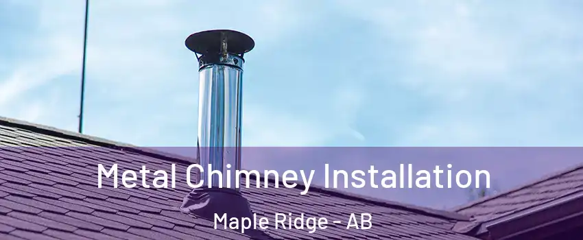  Metal Chimney Installation Maple Ridge - AB
