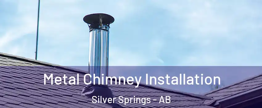  Metal Chimney Installation Silver Springs - AB