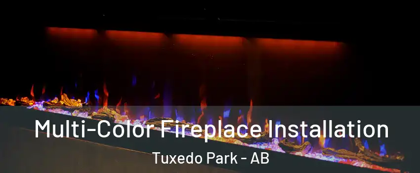  Multi-Color Fireplace Installation Tuxedo Park - AB