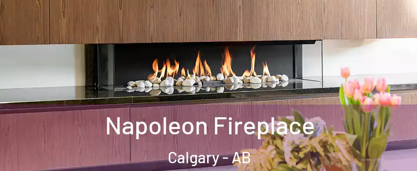  Napoleon Fireplace Calgary - AB