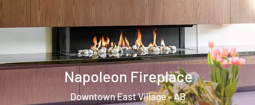  Napoleon Fireplace Downtown East Village - AB