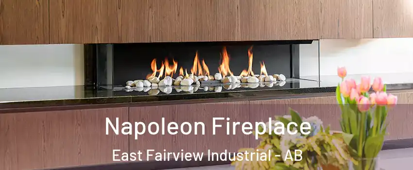  Napoleon Fireplace East Fairview Industrial - AB