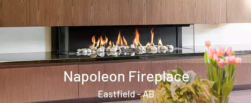  Napoleon Fireplace Eastfield - AB