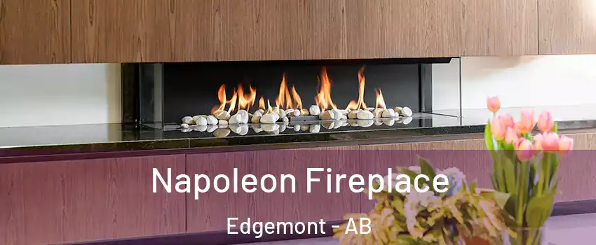  Napoleon Fireplace Edgemont - AB