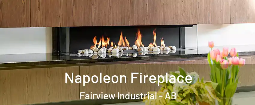 Napoleon Fireplace Fairview Industrial - AB