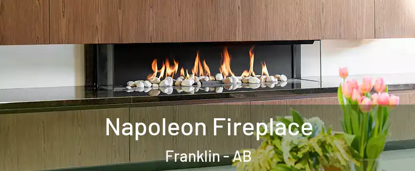  Napoleon Fireplace Franklin - AB
