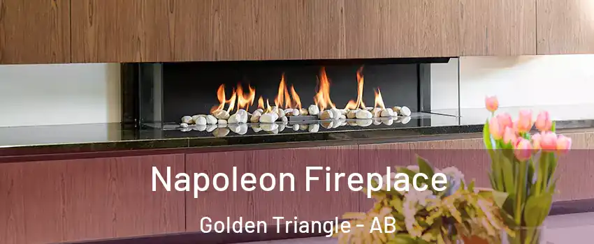  Napoleon Fireplace Golden Triangle - AB