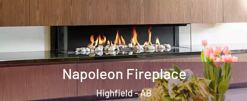  Napoleon Fireplace Highfield - AB