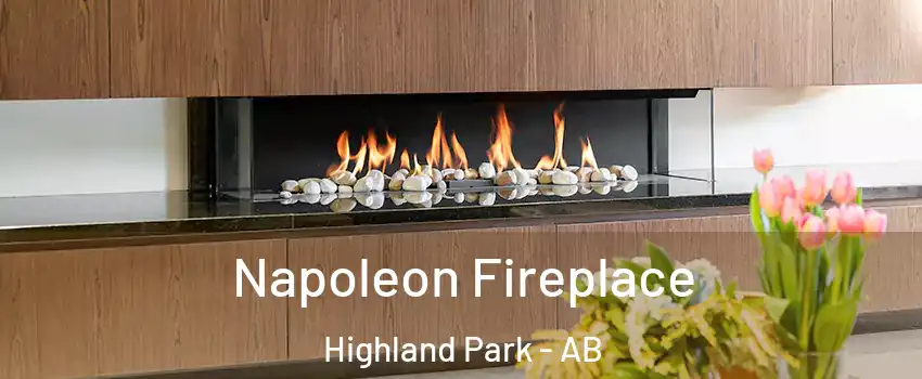  Napoleon Fireplace Highland Park - AB